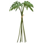 Philodendron Leaf Bundle