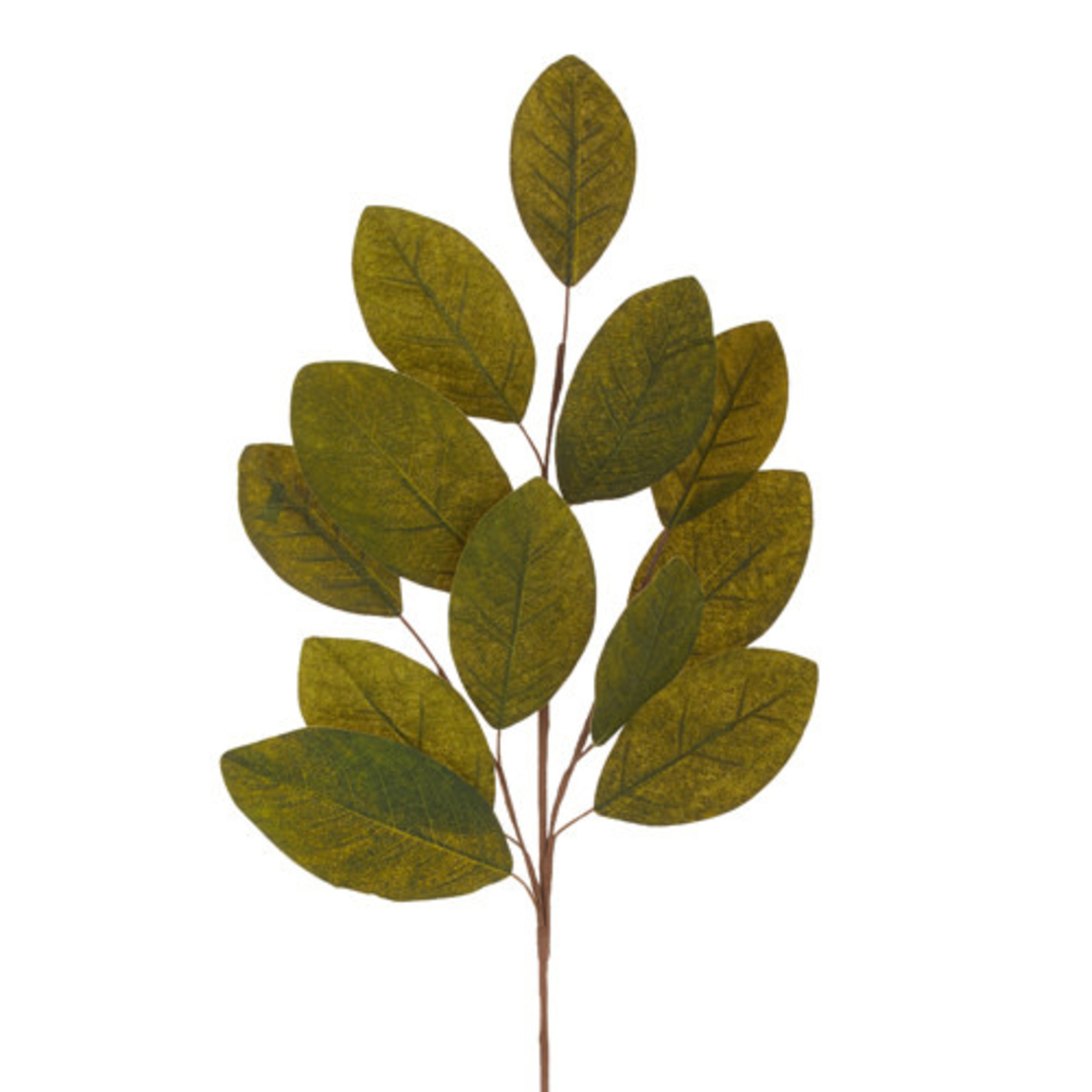 34" Magnolia Leaf Spray