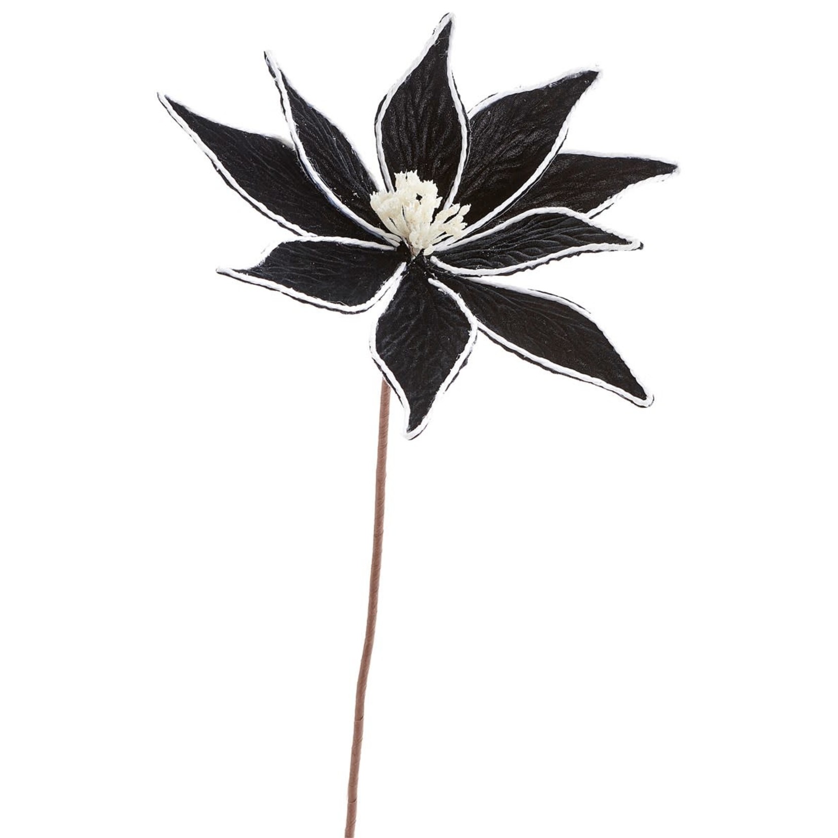 Black Poinsettia with Stem