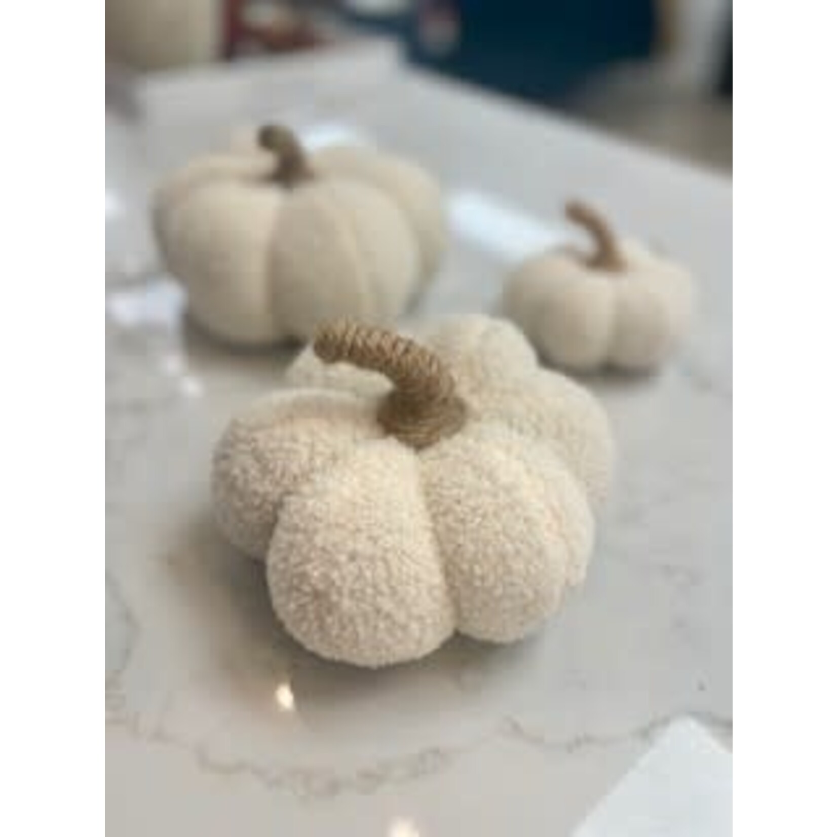 White Pumpkin Medium