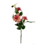 Rose Clematis Spray 21"
