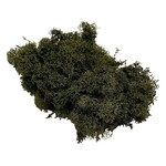 Green Dried Reindeer Moss  4 oz