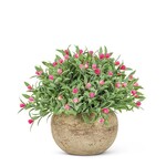Small Pink Flowering Plant Pot