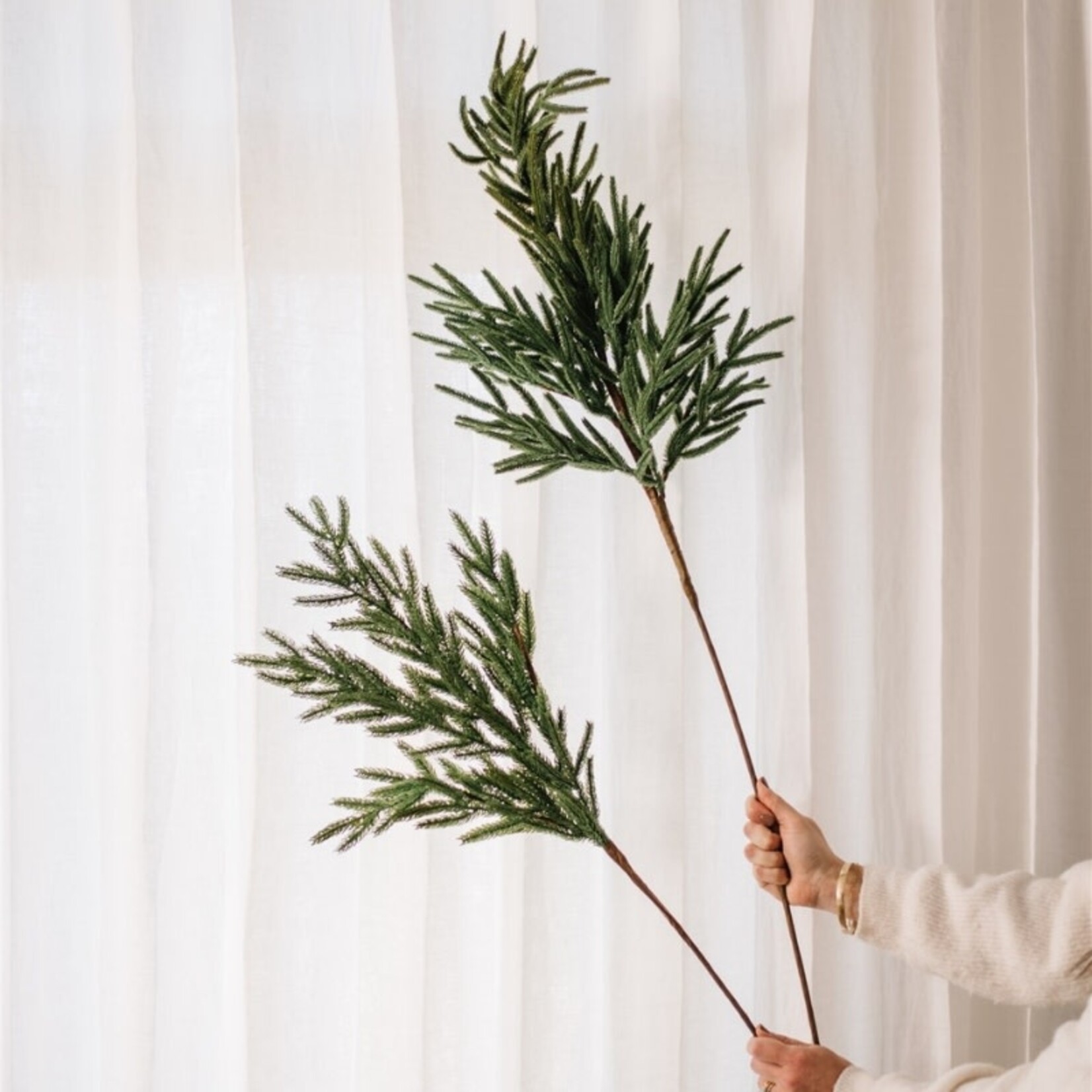 Norfolk Pine Stem 22"