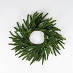 Norfolk Pine Wreath 10"