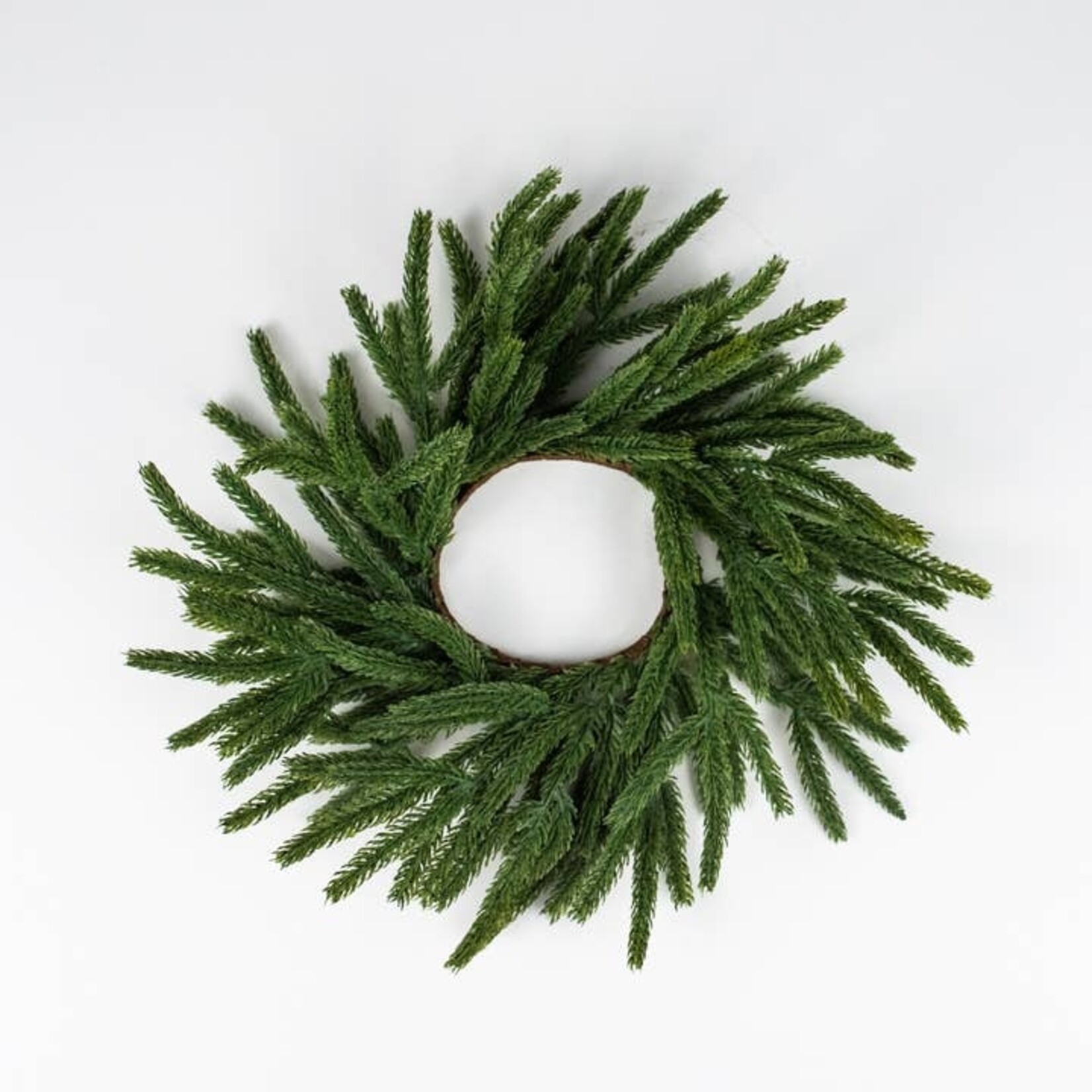 Norfolk Pine Wreath 10"