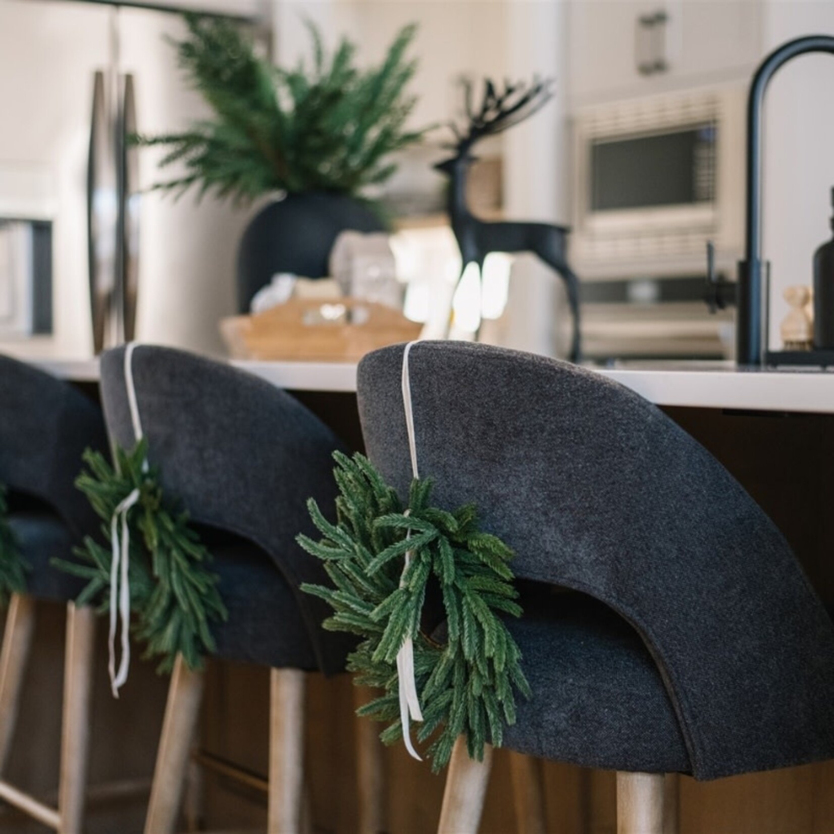 Norfolk Pine Wreath 10"