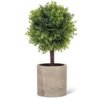 Green Conifer Topiary