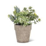 Mixed Greenery w/White Buds Pot