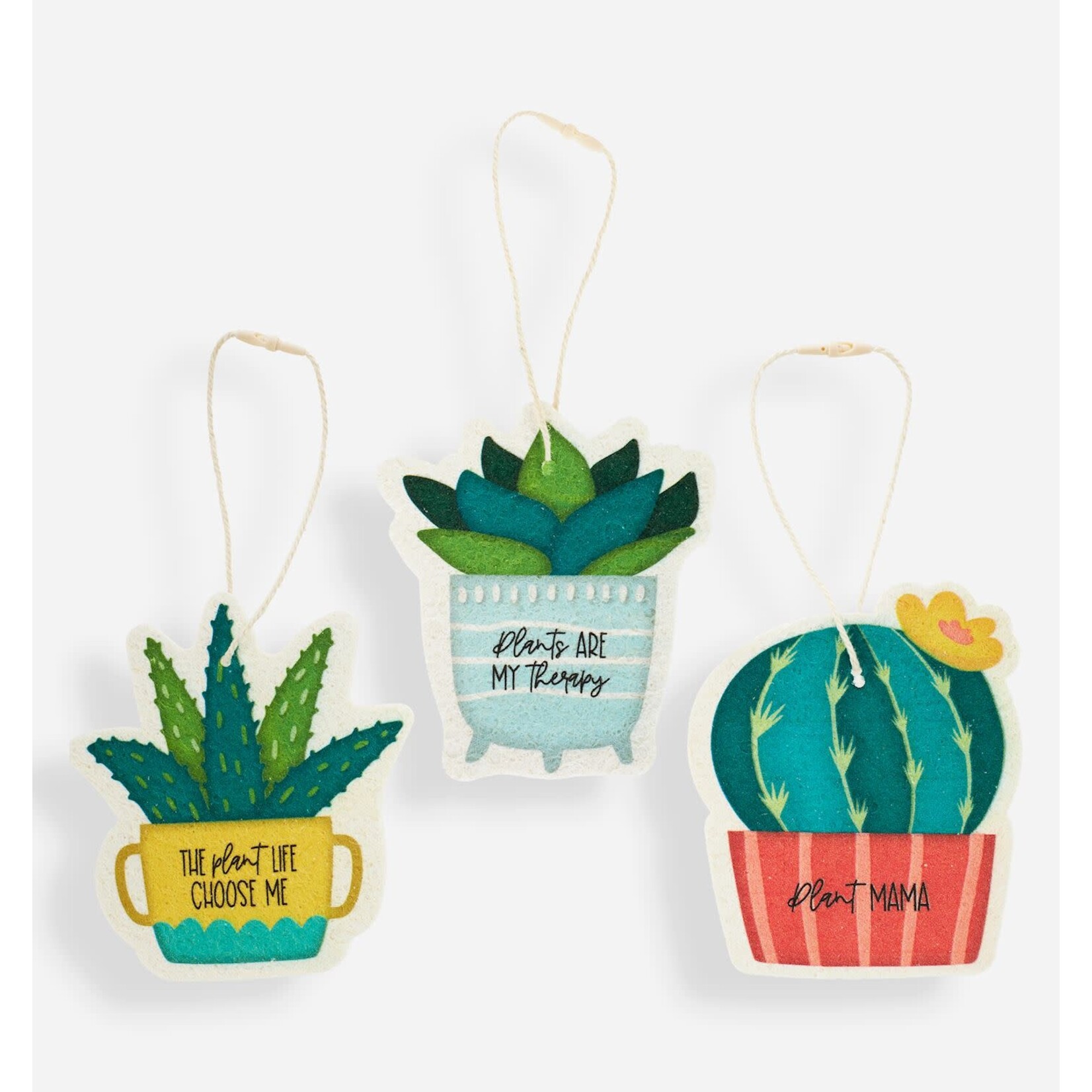 Planter Pop Up Sponge