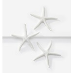 Starfish Tabletop Decor - Set of 3
