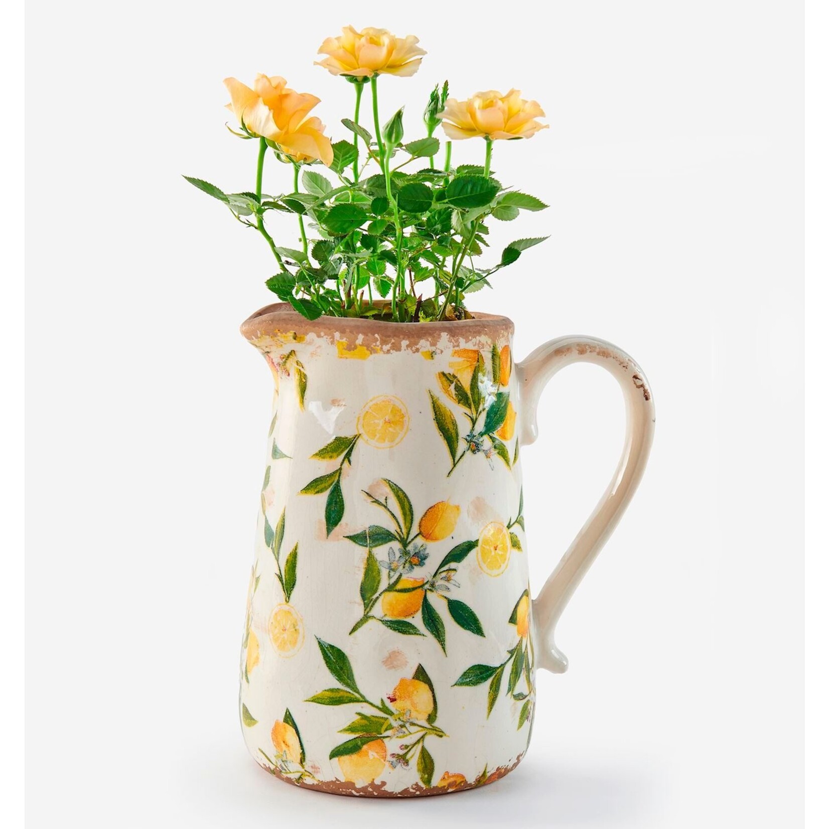 Ceramic Lemon Pitcher Planter - Large