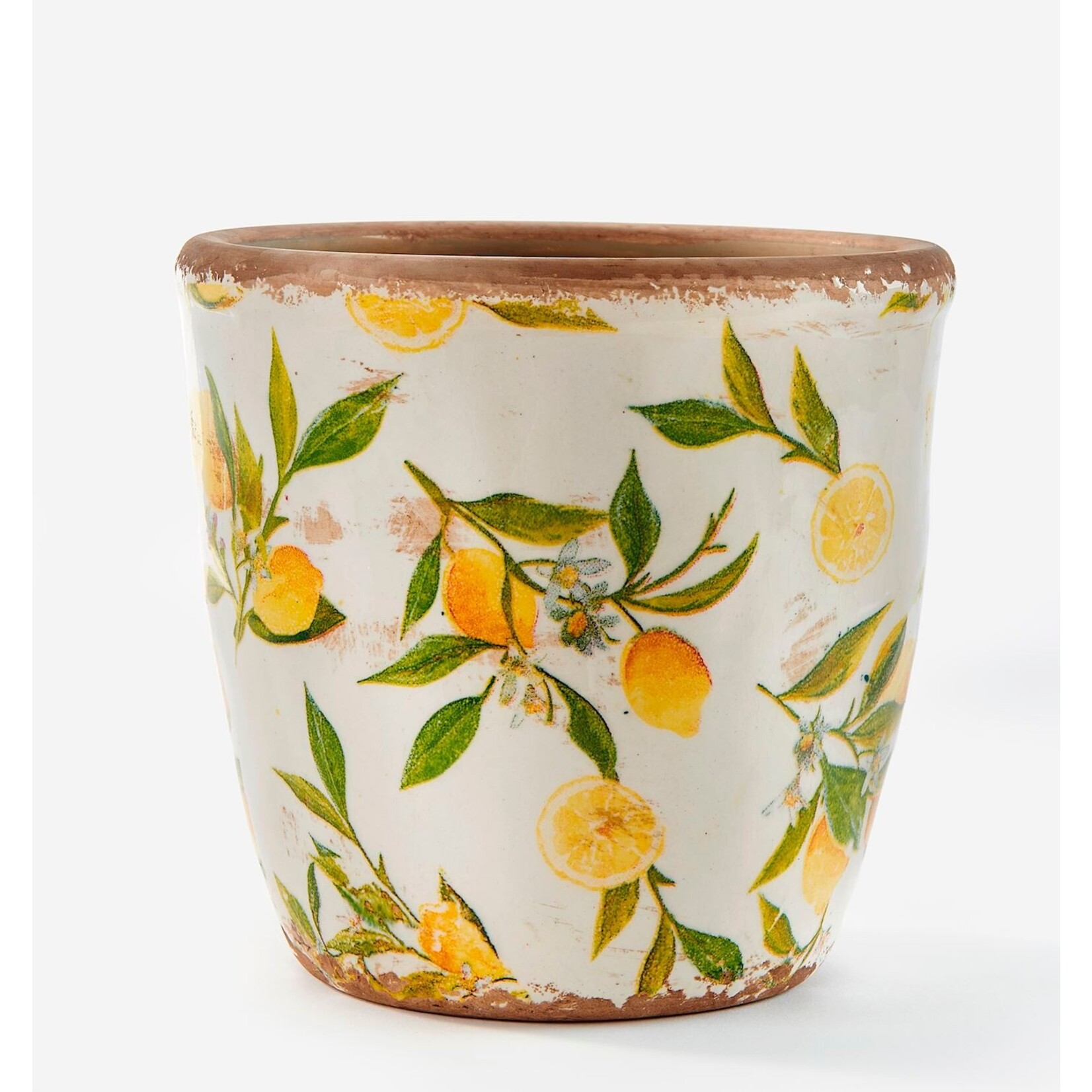 Ceramic Round Lemon Planter
