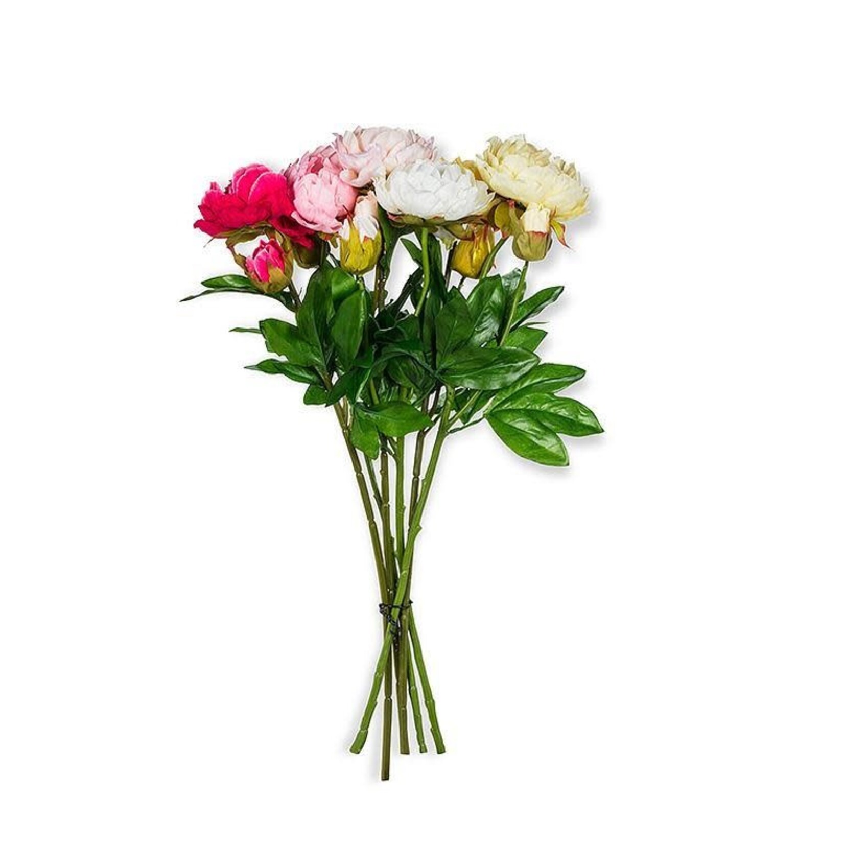 Double Bloom Peony Stems - Set of 6
