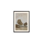 Ash Framed Print