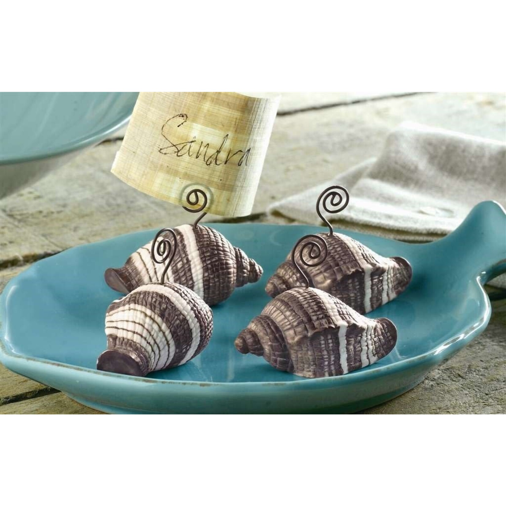 Shell Placecard Holder
