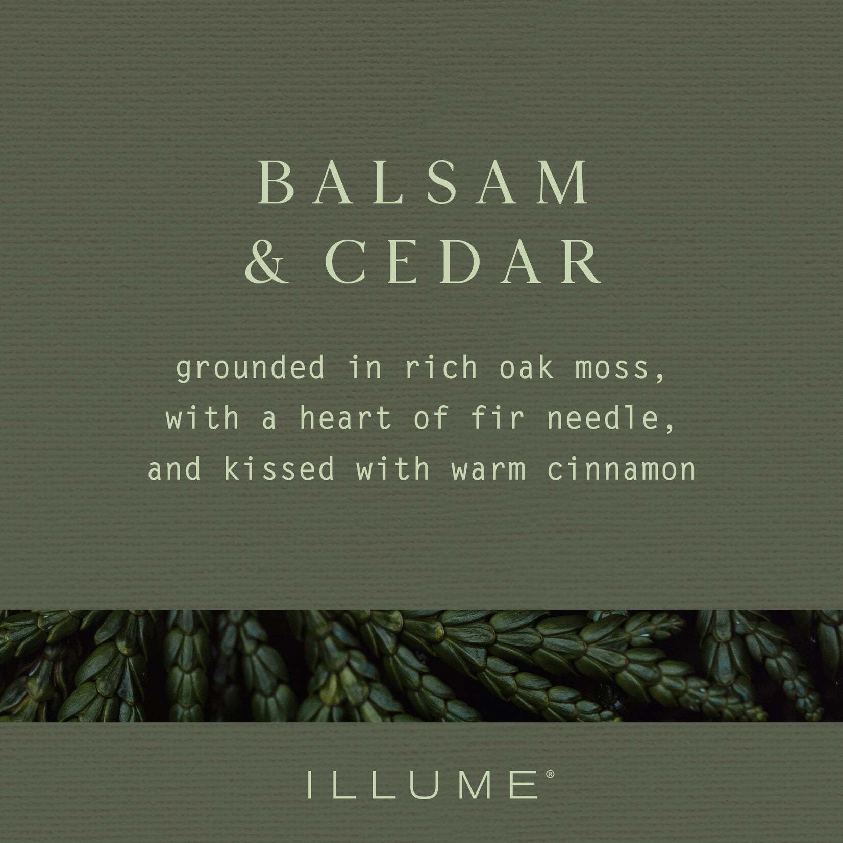 Balsam & Cedar Gift Set Trio