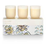 Candle Trio Gift Set - Winter White