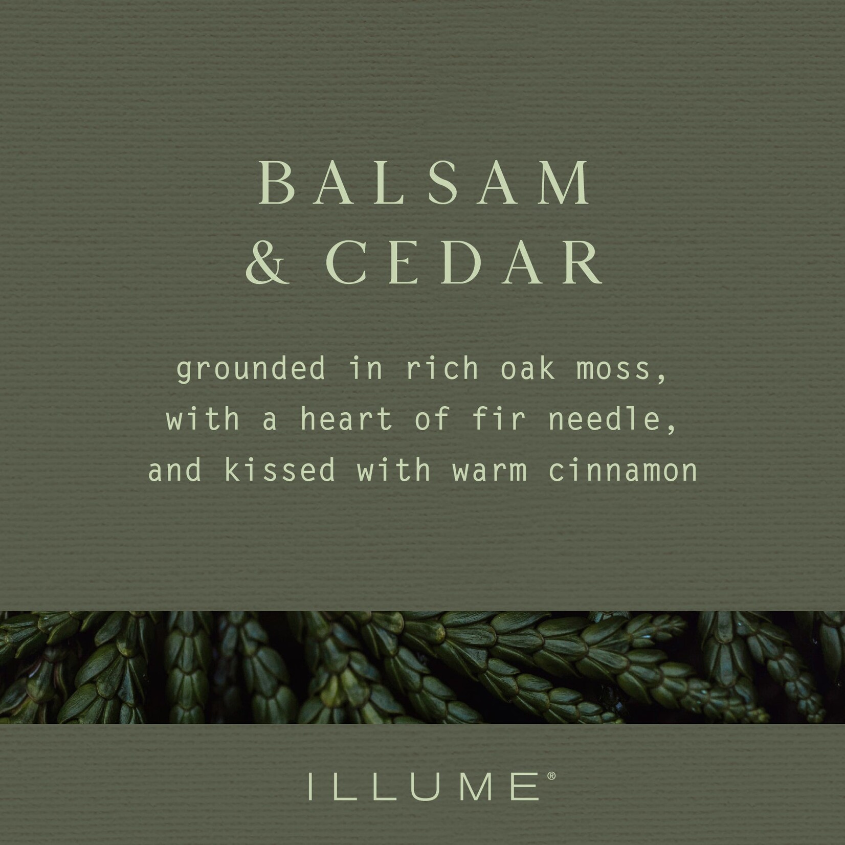 Balsam & Cedar Pinecone Candle