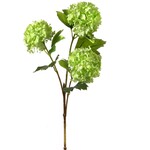 Viburnum x3 Spray