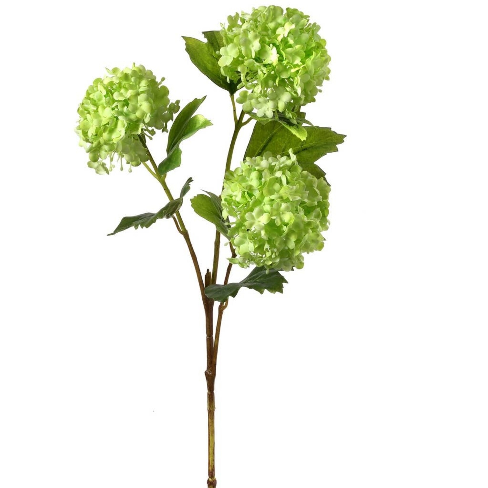 Viburnum x3 Spray