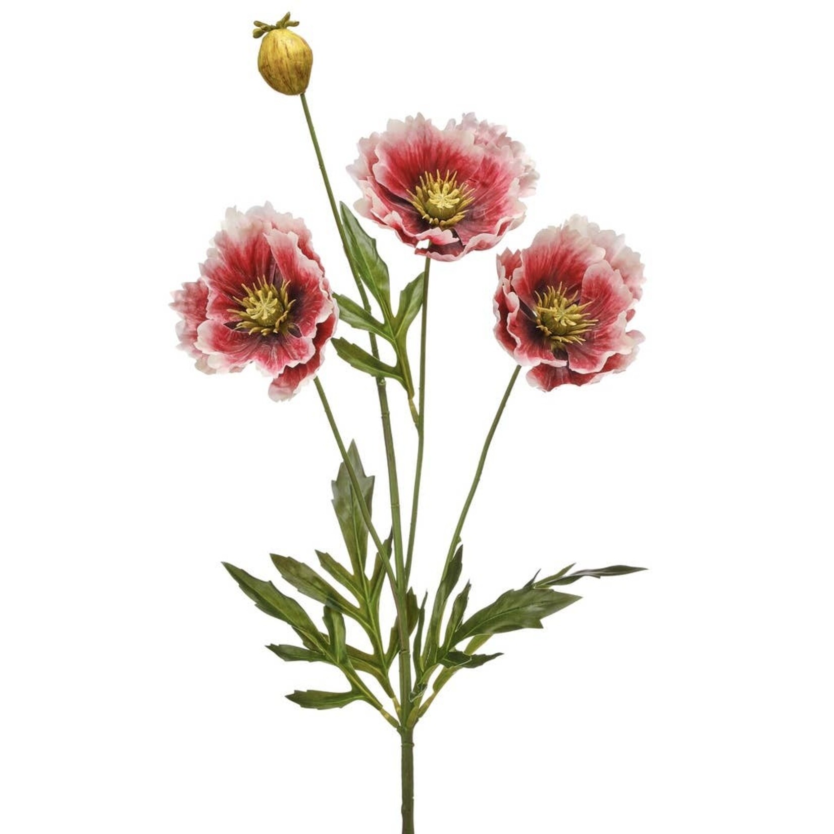 Poppy Spray x3 with Bud