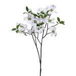 Dogwood Spray