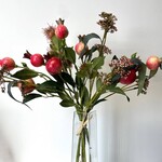 Pomegranate /Seed/ Rambutan Bundle