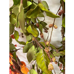 Garland Fall Leaves 60" with Mini Berries