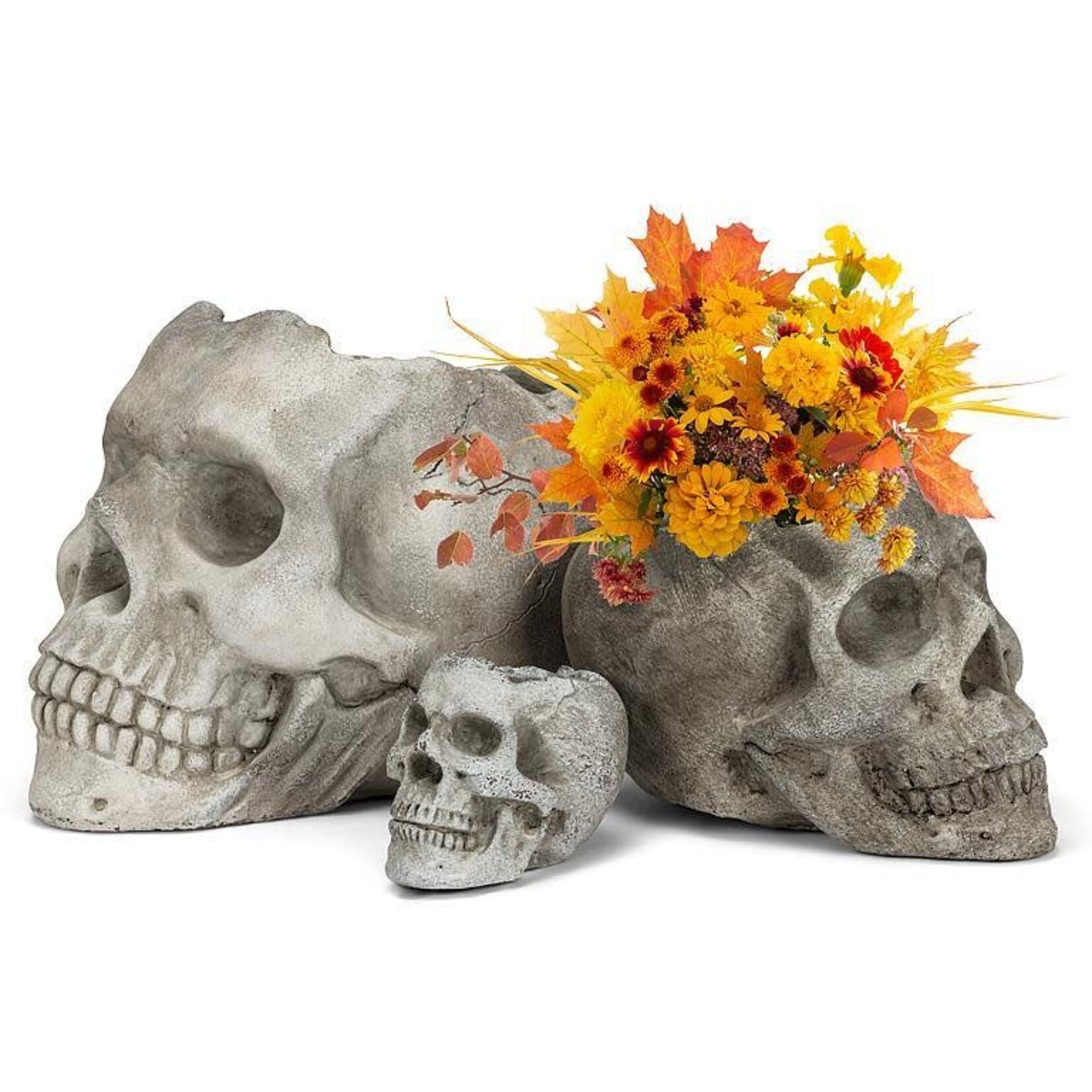 Extra Large Skull Planter