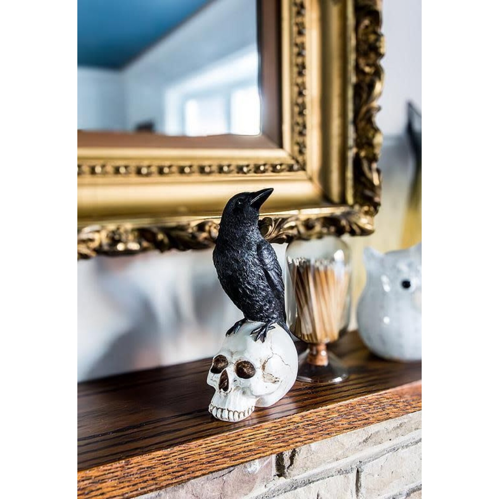 Raven Perched on Skull