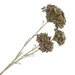 Spray Flower Champagne Glitter