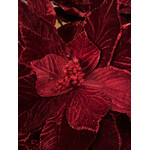 Poinsettia Stem Burgundy 20" Stem