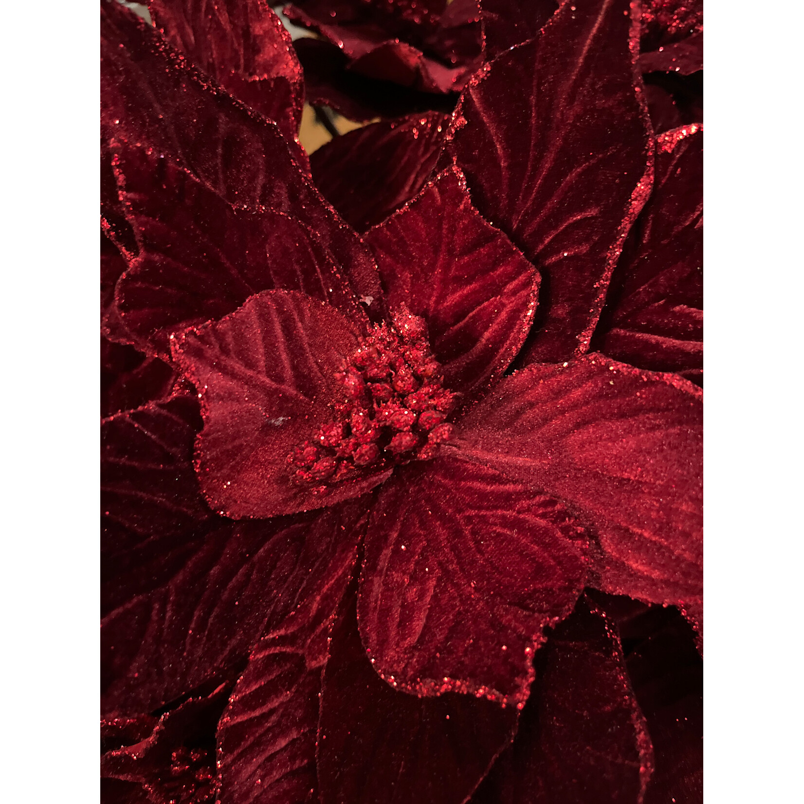 Poinsettia Stem Burgundy 20" Stem