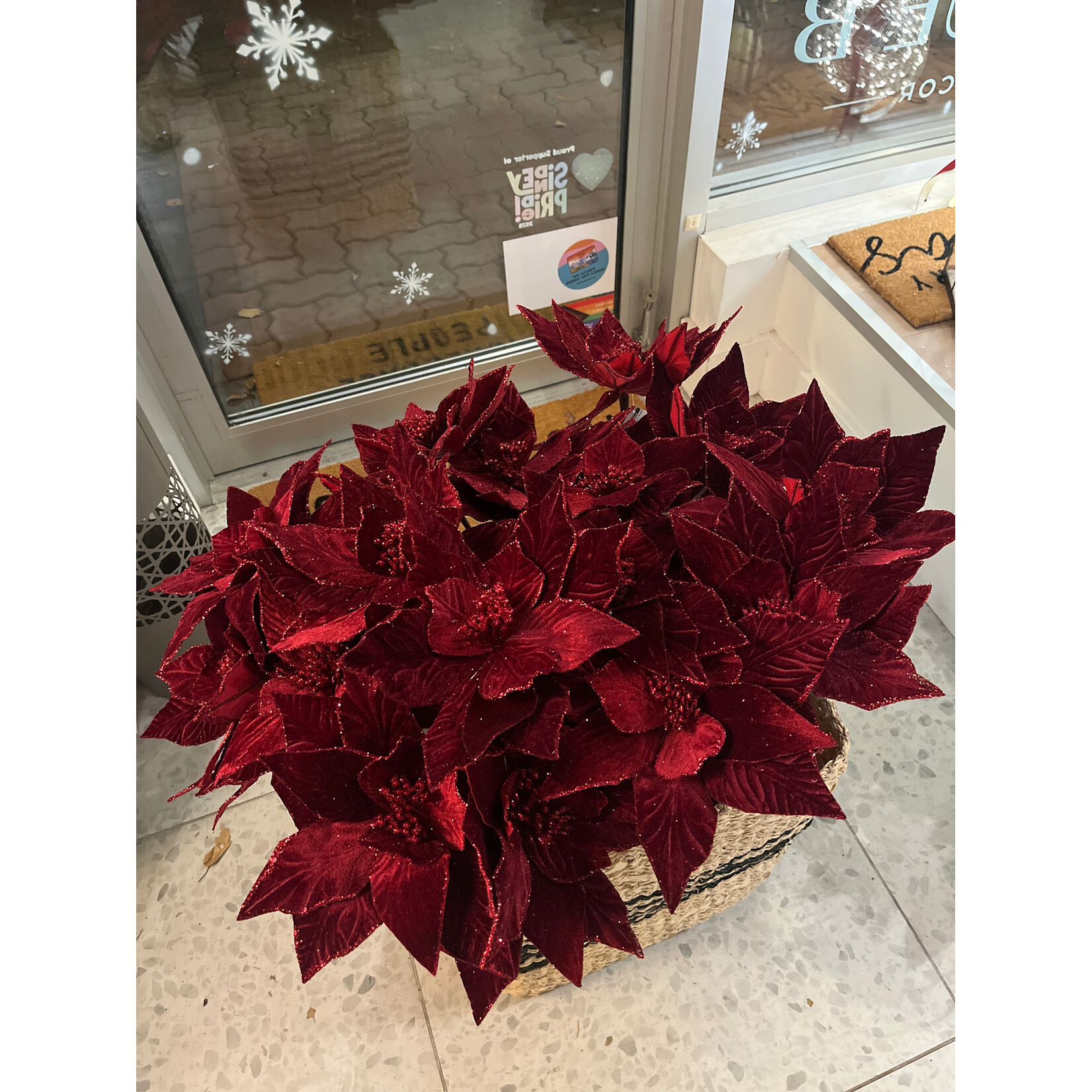 Poinsettia Stem Burgundy 20" Stem