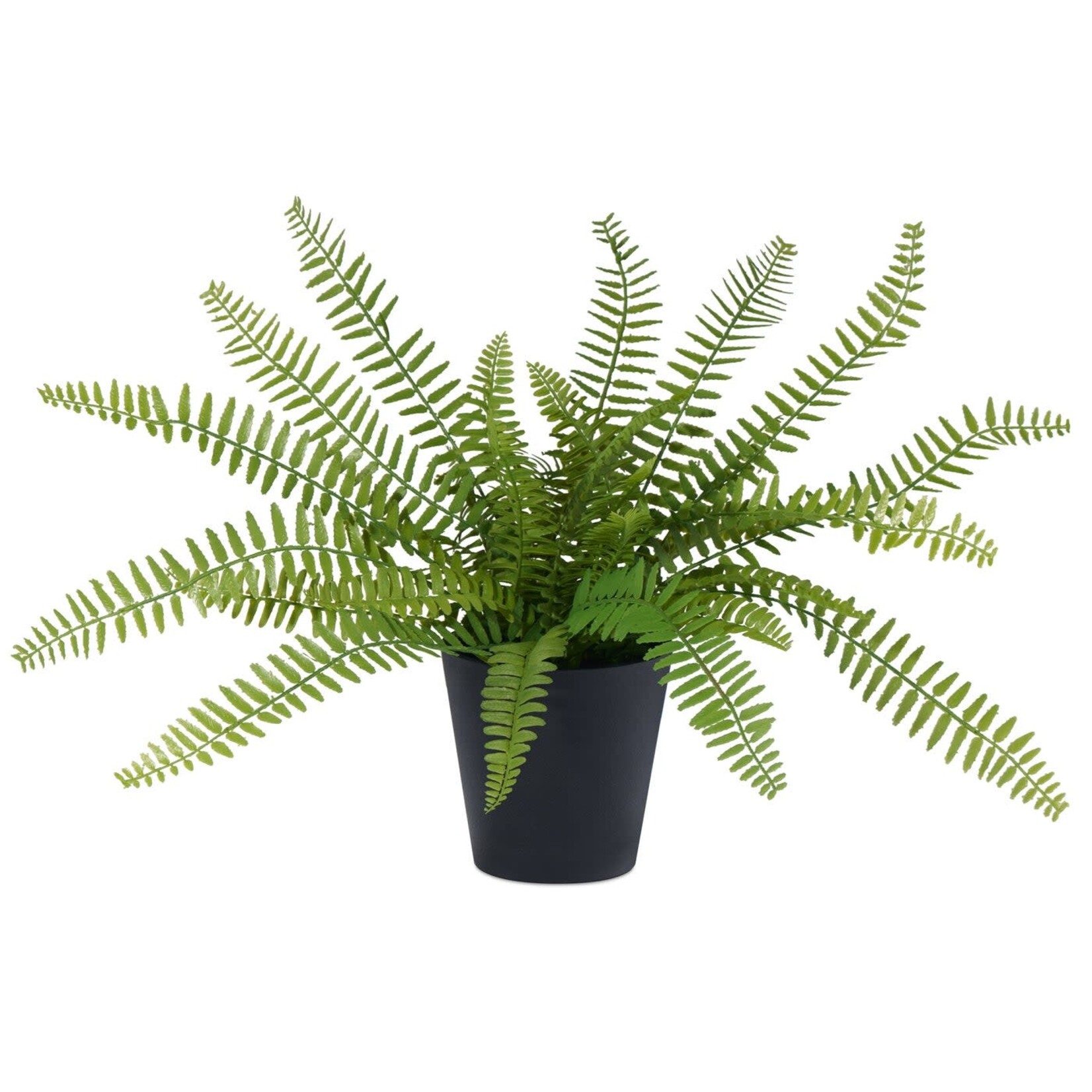 Sword Fern Faux Potted Plant