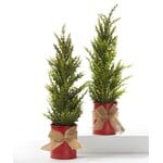 CTG Brands Plastic LED Mini Tree