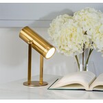 Pivot Spotlight LED Lamp Gold