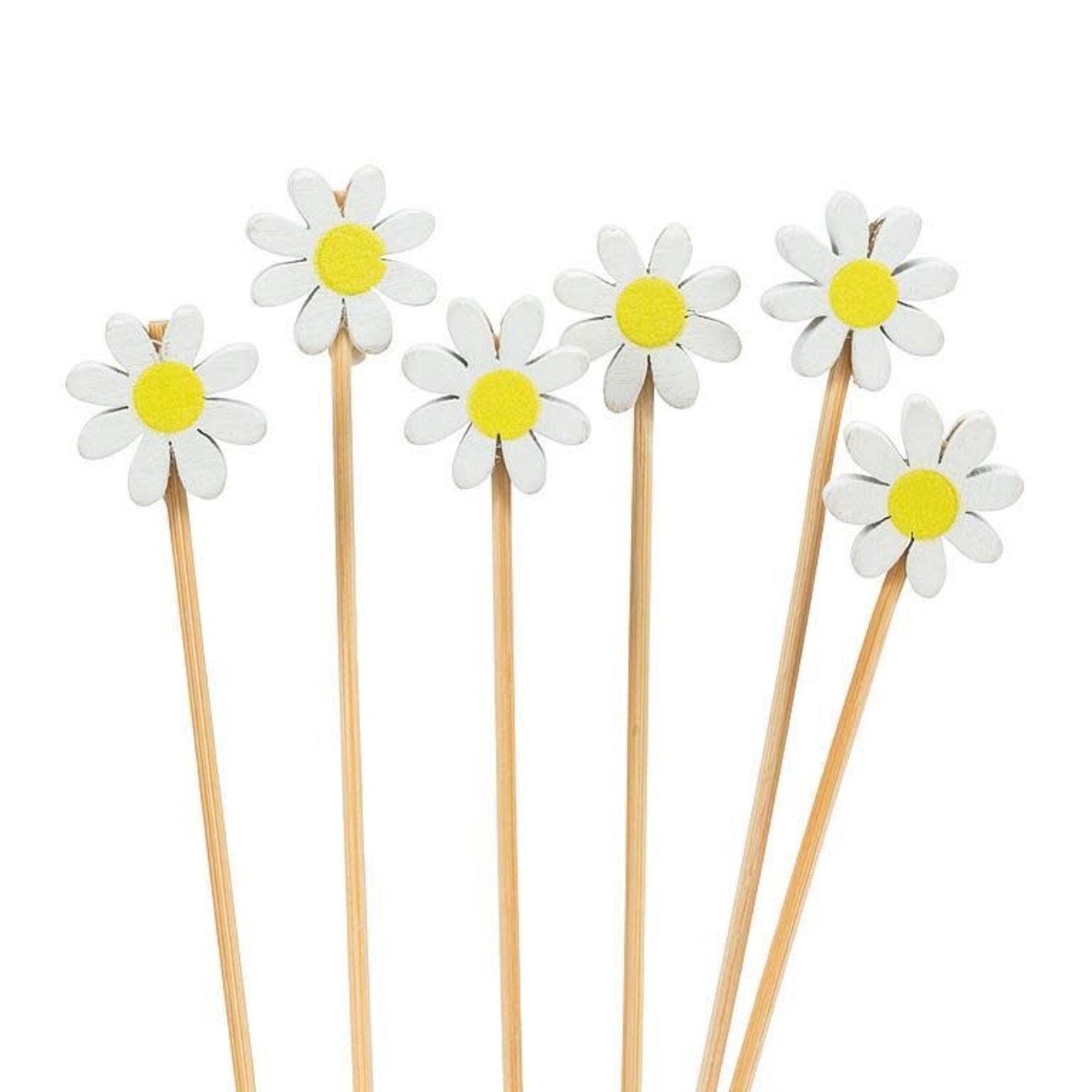 Daisy Pick. 100 Pieces.