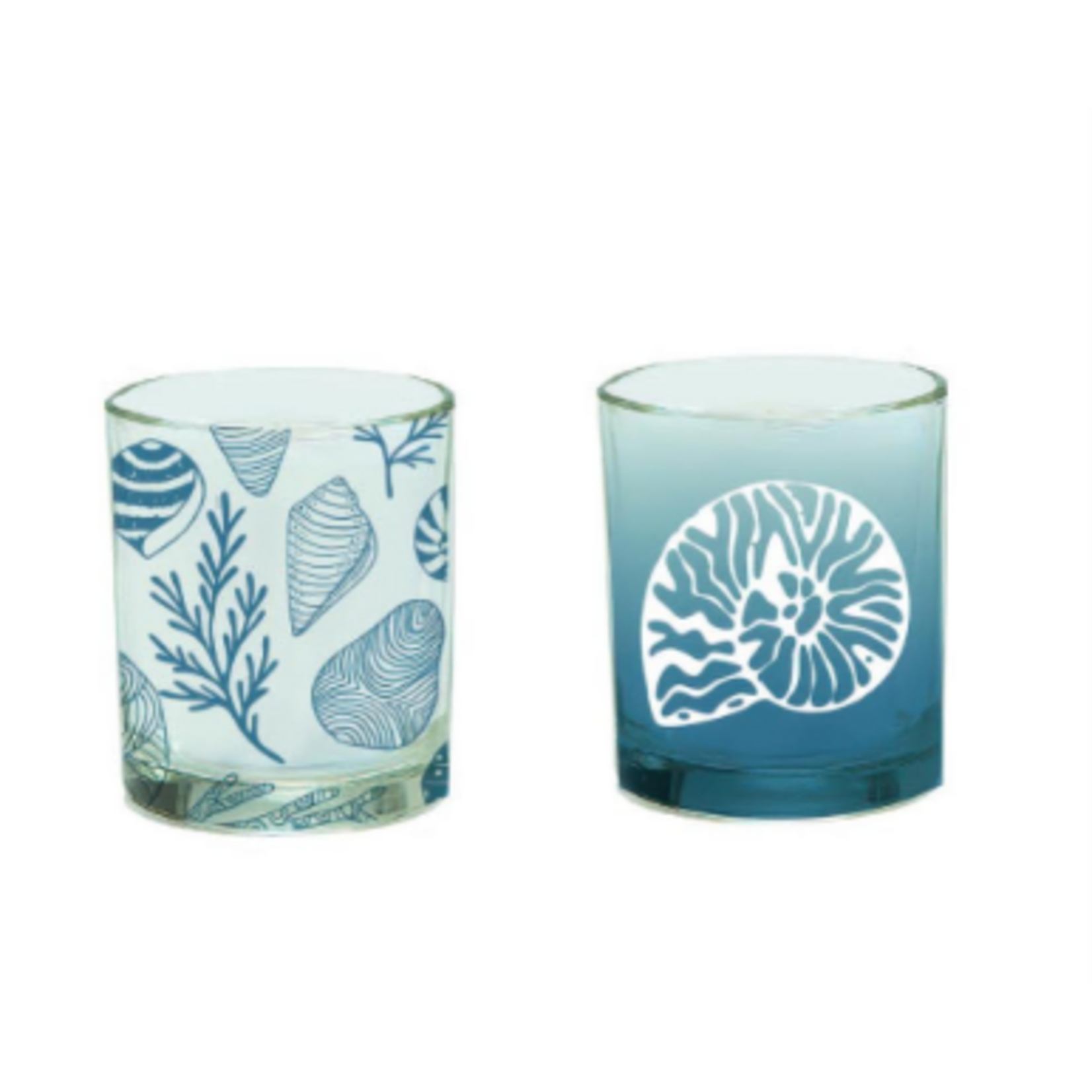 Blue Shell Votive Candle Holder