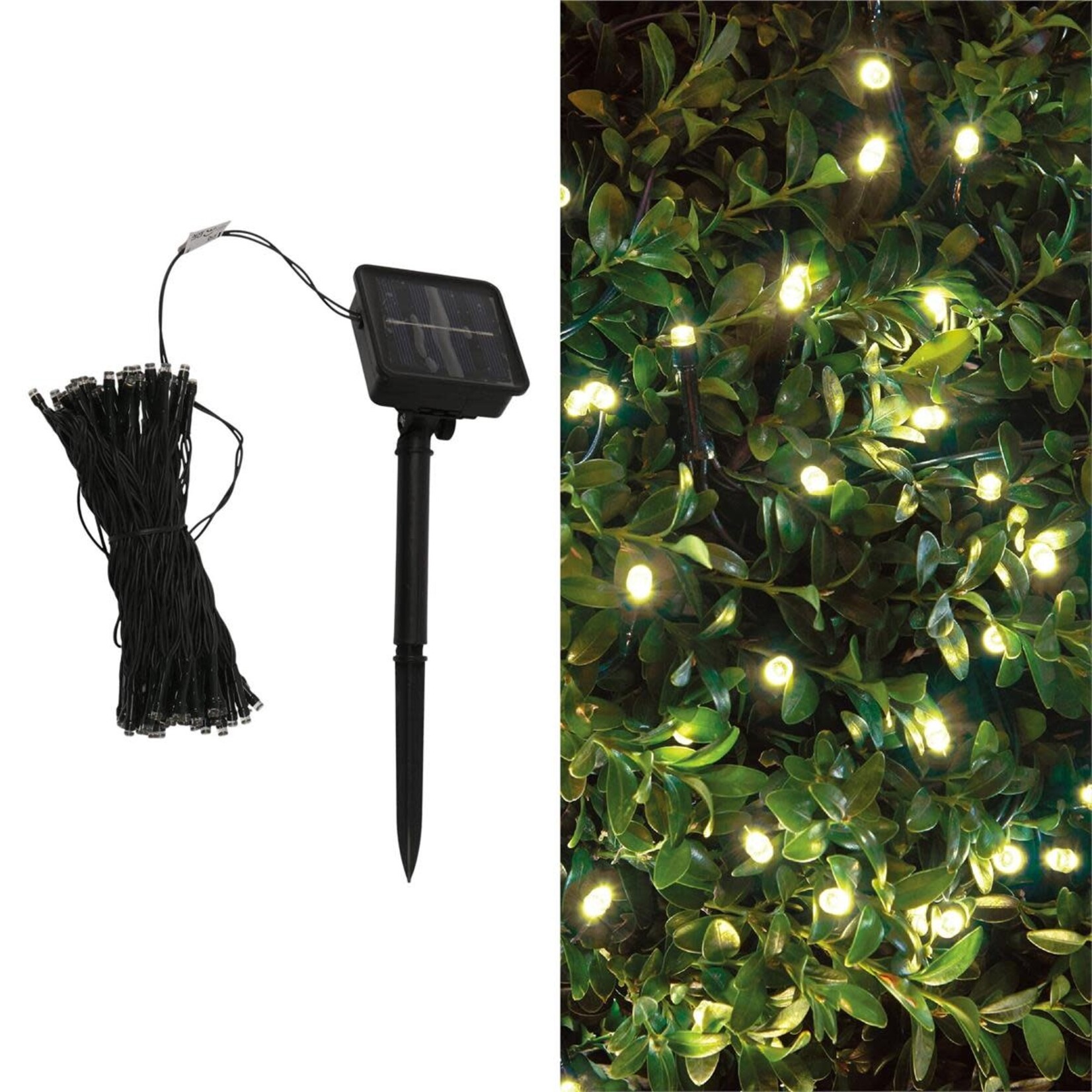 Solar 39ft 100 LED String Light With Ground Stake, Warm White LED Flashing Light, Color Box