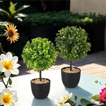 Potted Tree Plant Topiary