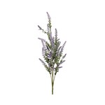 Lavender 27.5″ Spray – Purple