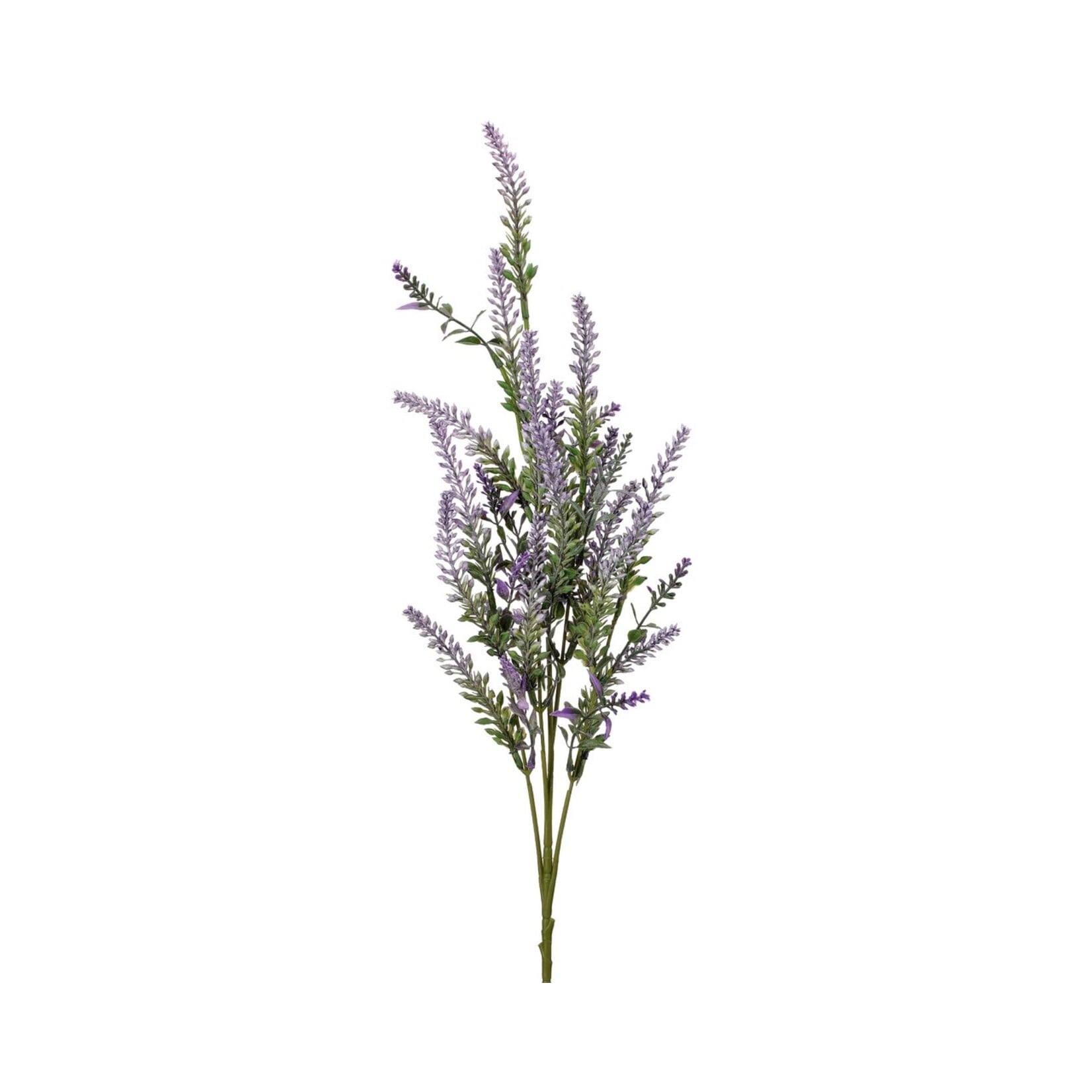 Lavender 27.5″ Spray – Purple