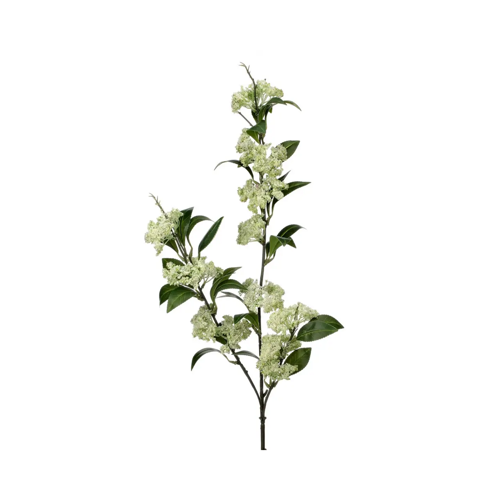 Wild Meadowsweet 40″ Spray – White