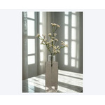 Gypsophilia Spray 23″ – White