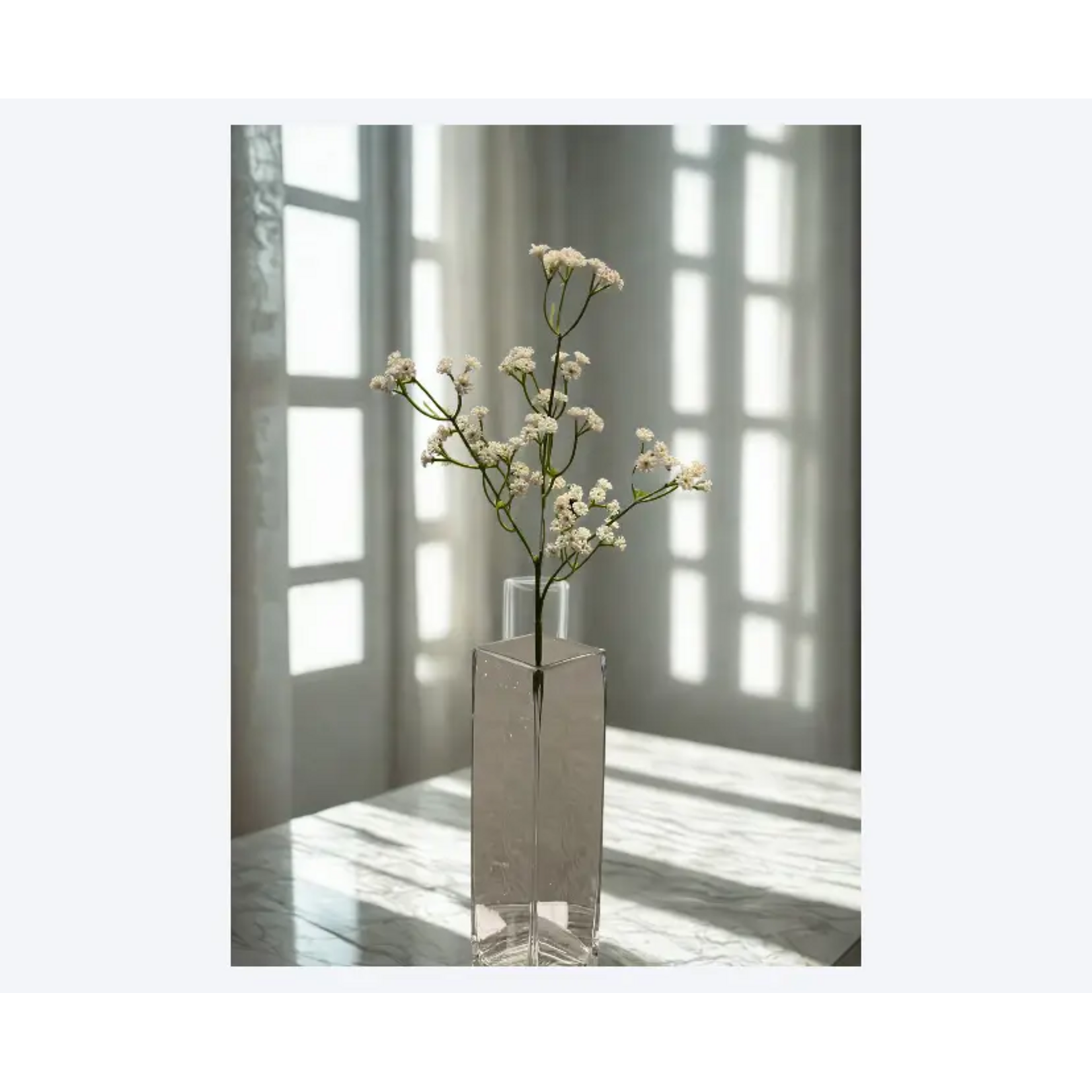 Gypsophilia Spray 23″ – White