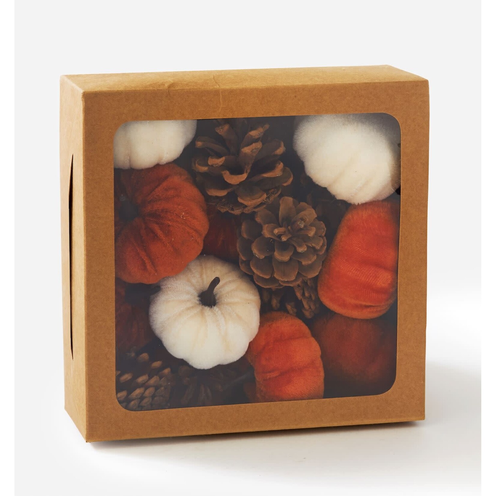 Pumpkin & Pinecone DecorSet