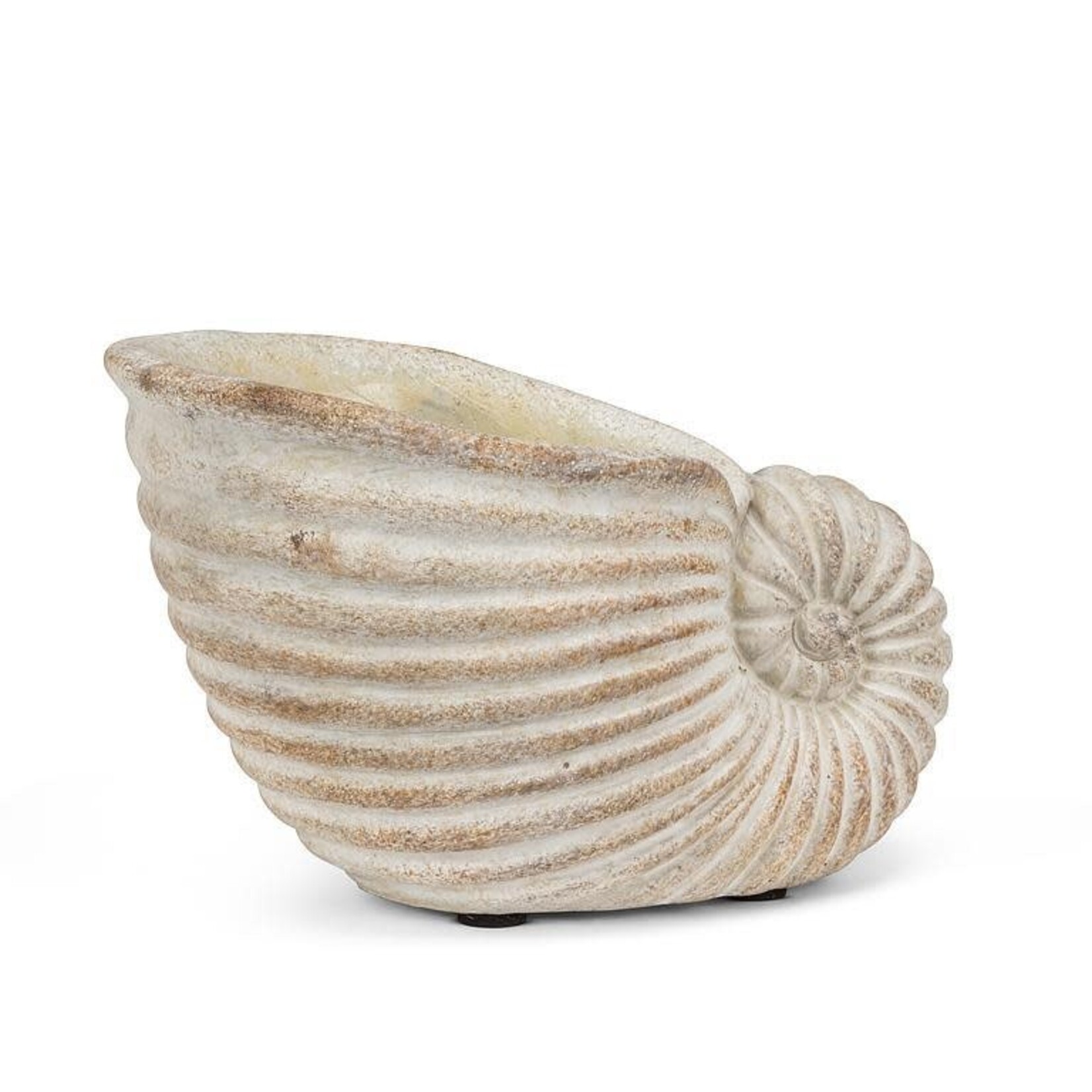 Small Nautilus Planter