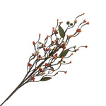 FALL SPRAY WILDFLOWER BUD STEM 24″ ORANGE YELLOW GREEN LEAF WISPY VINE